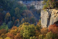 Autumn climb in Kentucky