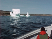Quebec adventure icebergs