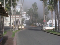 Avalon foggy morning
