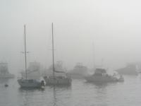 Avalon harbor foggy morning