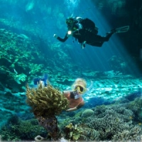 Snorkeler and scuba diver