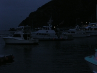 Avalon harbor night