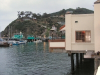 Harbor beside resturant