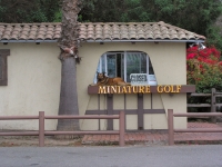 Miniture Gold office