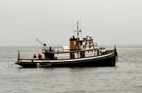 Private Tug at anchor