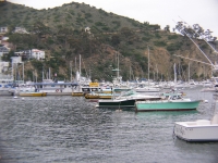 Catalina Harbor Four