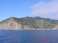 Catalinashore