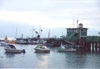 Catalina Dock