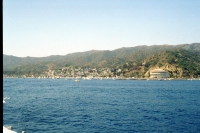 Approaching Avalon from Cat Express