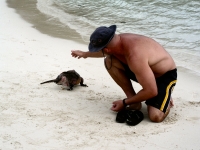 Chuck feeding iguana