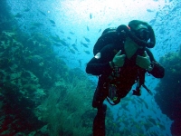Diving with rebreather