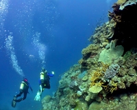 Australia scuba diving